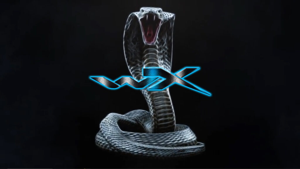 COBRA LOGO motion graphics after effects template